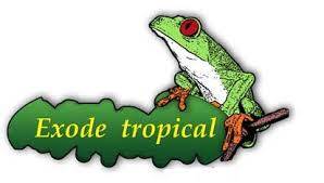 http://www.exode-tropical.com